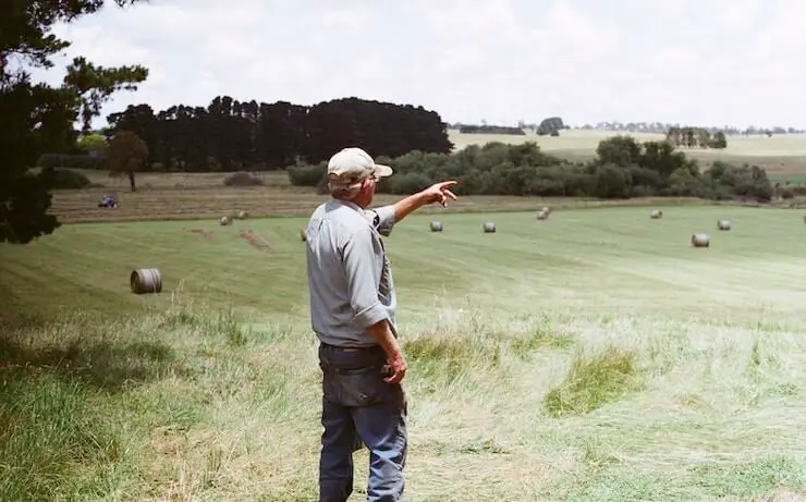 18 Best Places To Buy Hay Bales Near You